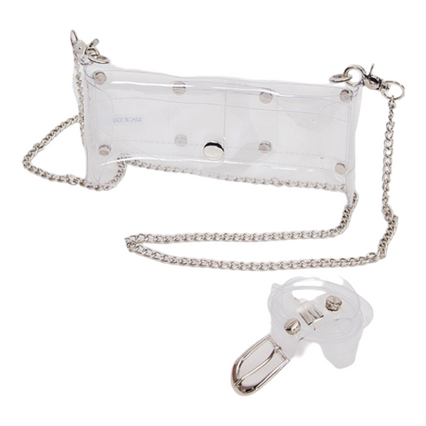 Clear bag with silver strap (also has fannnypack strap)