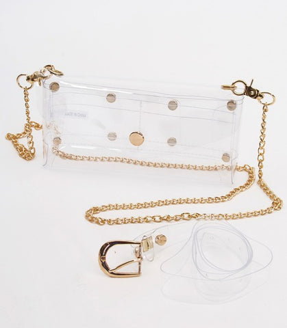 Clear bag with gold strap (also has fannnypack strap)